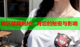 暗区禁网揭秘：背后的秘密与影响