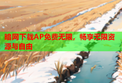 暗网下载AP免费无限，畅享无限资源与自由