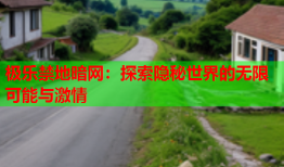 极乐禁地暗网：探索隐秘世界的无限可能与激情