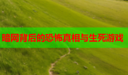 暗网背后的恐怖真相与生死游戏