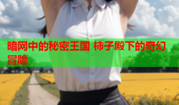 暗网中的秘密王国 柿子殿下的奇幻冒险