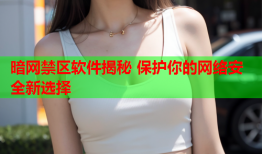 暗网禁区软件揭秘 保护你的网络安全新选择