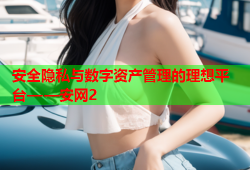 安全隐私与数字资产管理的理想平台——安网2