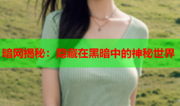 暗网揭秘：隐藏在黑暗中的神秘世界