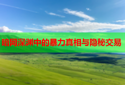 暗网深渊中的暴力真相与隐秘交易