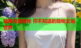 暗网淘宝揭秘 你不知道的隐秘交易世界