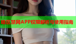 暗区禁网APP权限解析与使用指南