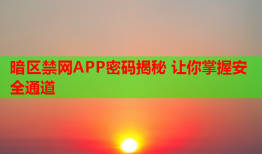 暗区禁网APP密码揭秘 让你掌握安全通道