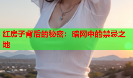 红房子背后的秘密：暗网中的禁忌之地