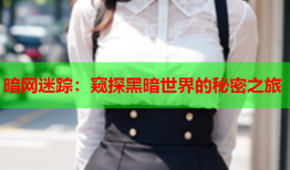 暗网迷踪：窥探黑暗世界的秘密之旅