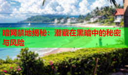 暗网禁地揭秘：潜藏在黑暗中的秘密与风险