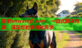 探索anwang1.com：一站式解决方案，满足您的多样化需求