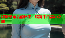 红房子背后的秘密：暗网中的禁忌之地