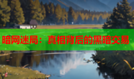 暗网迷局：真相背后的黑暗交易