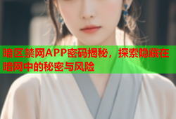 暗区禁网APP密码揭秘，探索隐藏在暗网中的秘密与风险