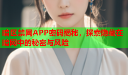 暗区禁网APP密码揭秘，探索隐藏在暗网中的秘密与风险