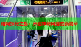 暗网探秘之旅：开启神秘网络的新篇章