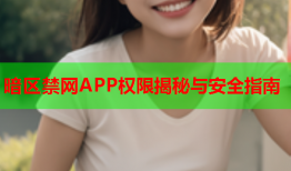 暗区禁网APP权限揭秘与安全指南