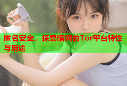 匿名安全，探索暗网的Tor平台特性与用途