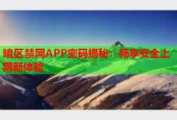 暗区禁网APP密码揭秘：畅享安全上网新体验