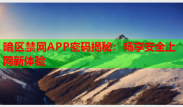 暗区禁网APP密码揭秘：畅享安全上网新体验