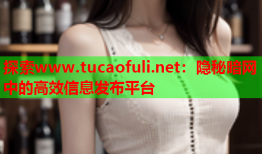 探索www.tucaofuli.net：隐秘暗网中的高效信息发布平台