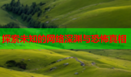 探索未知的网络深渊与恐怖真相