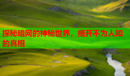 探秘暗网的神秘世界，揭开不为人知的真相