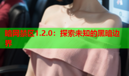 暗网禁区1.2.0：探索未知的黑暗边界