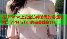 在iPhone上安全访问暗网的终极指南：VPN与Tor的完美结合(1)