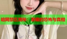 暗网禁区揭秘：潜藏的恐怖与真相