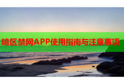 暗区禁网APP使用指南与注意事项