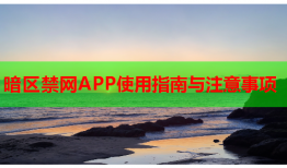 暗区禁网APP使用指南与注意事项