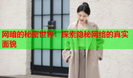 网暗的秘密世界：探索隐秘网络的真实面貌