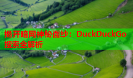 揭开暗网神秘面纱：DuckDuckGo搜索全解析