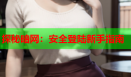 探秘暗网：安全登陆新手指南