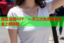 暗区禁网APP：一天三次免费畅享安全上网体验