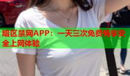 暗区禁网APP：一天三次免费畅享安全上网体验