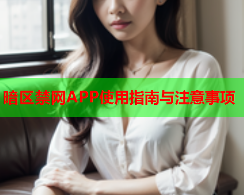 暗区禁网APP使用指南与注意事项