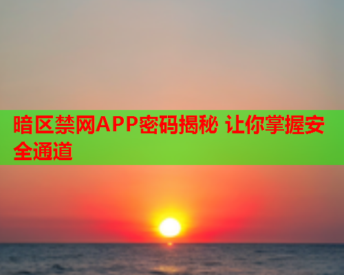 暗区禁网APP密码揭秘 让你掌握安全通道