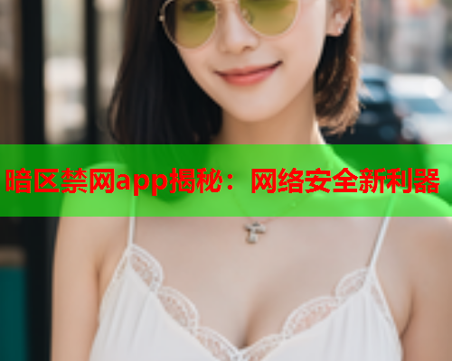 暗区禁网app揭秘：网络安全新利器