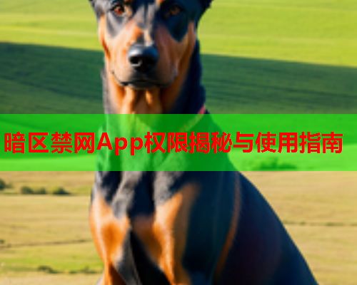 暗区禁网App权限揭秘与使用指南