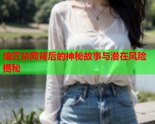 暗区禁网背后的神秘故事与潜在风险揭秘