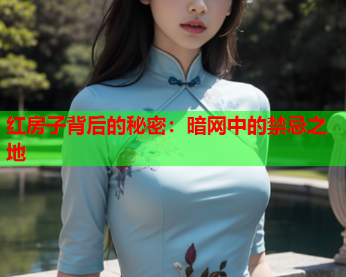 红房子背后的秘密：暗网中的禁忌之地