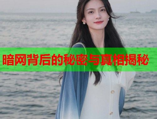 暗网背后的秘密与真相揭秘