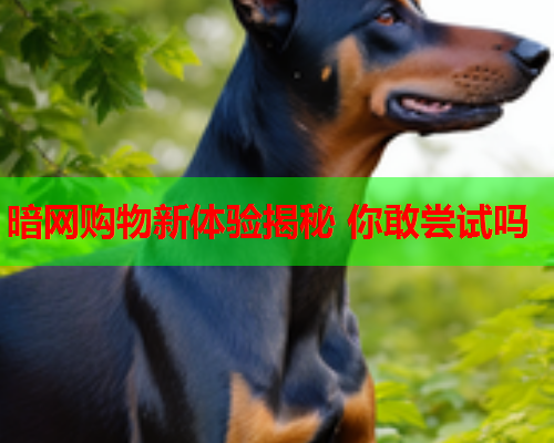 暗网购物新体验揭秘 你敢尝试吗