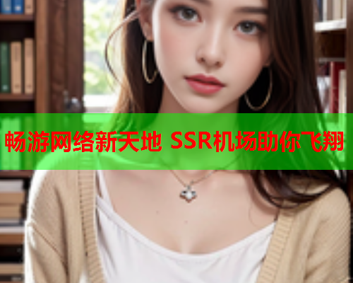 畅游网络新天地 SSR机场助你飞翔