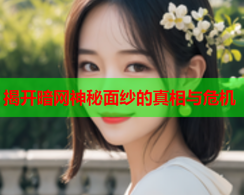 揭开暗网神秘面纱的真相与危机