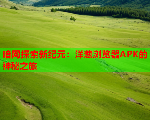 暗网探索新纪元：洋葱浏览器APK的神秘之旅