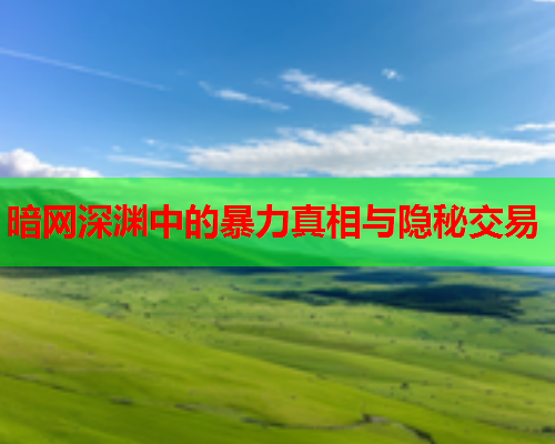 暗网深渊中的暴力真相与隐秘交易